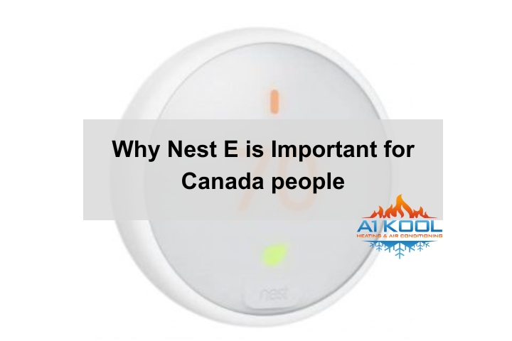 Why Nest E is Important for Canada people